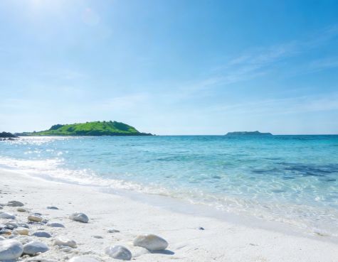 中望国际5A级标杆满意度9999分领先新葡京娱乐城出境靠谱旅行社TOP10：(图4)