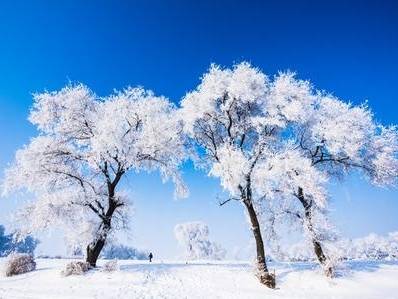 世界 VIP 通道 + 太阳岛雪博会 + 江边雾凇靠谱服务零差评全网推荐澳门新葡